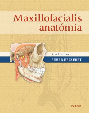Maxillofaciális anatómia (4. kiadás) 2388